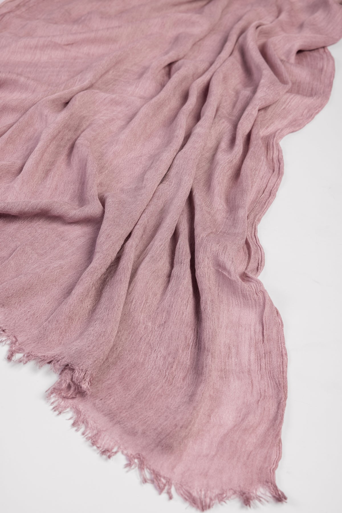 Blush Rose - Ruffield